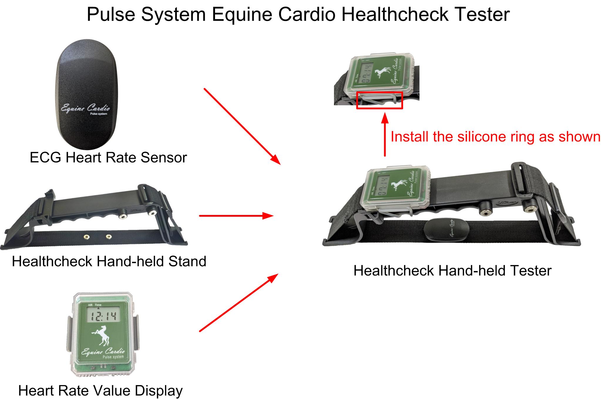 Lifevisa,lifevisa,Taiwan Biotronic,healthcheck , heart rate monitor , horse heart rate, Equestrian accessories , Equestrian Sports,Accessori equestri,sport equestre,reitsport,Accesorios ecuestres,Reitzubehör,Biotronic pulse